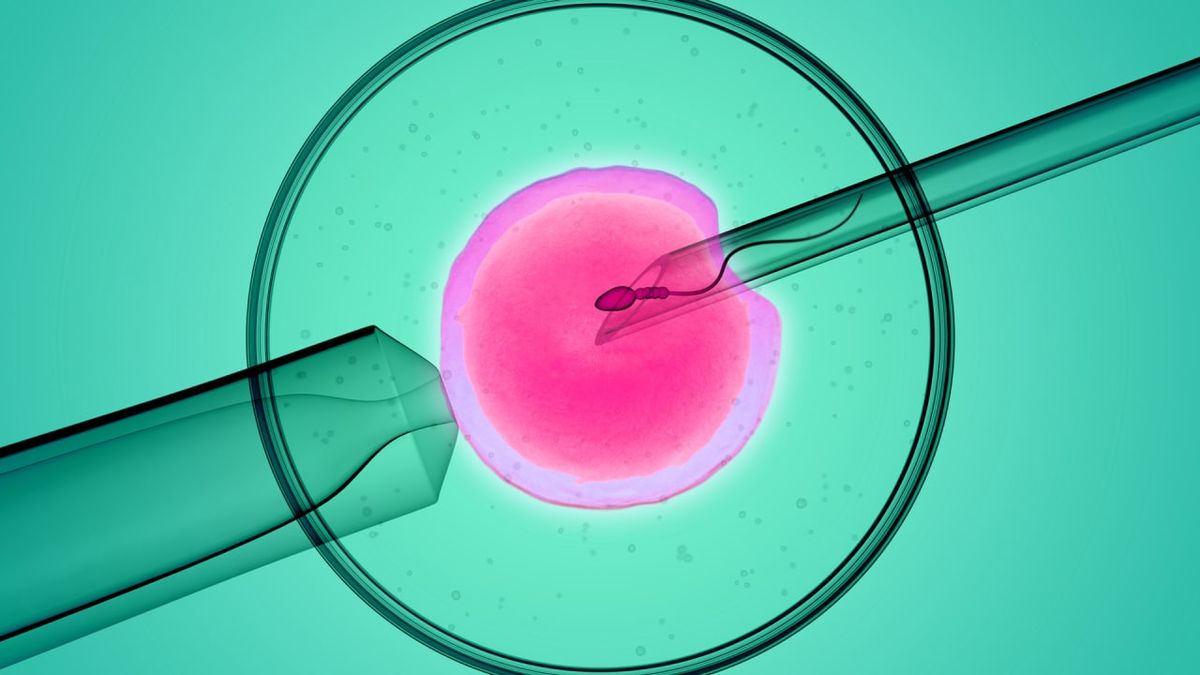 Can you choose the sex of your baby1?